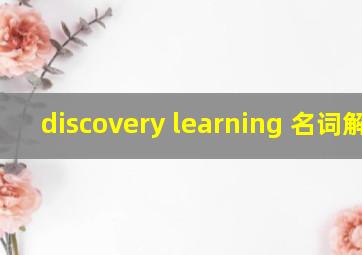 discovery learning 名词解释